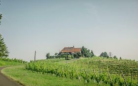 Taverna & Wine Jeruzalem