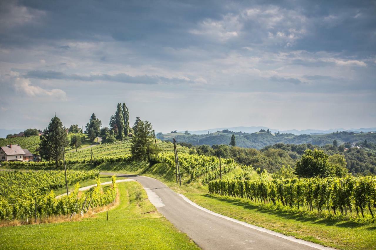 Taverna & Wine Jeruzalem Hotel Ivanjkovci Kültér fotó