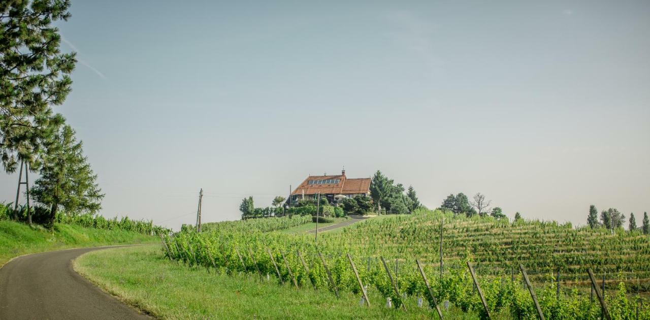 Taverna & Wine Jeruzalem Hotel Ivanjkovci Kültér fotó